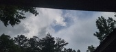 Enlarge photo 178