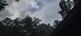 Enlarge photo 177