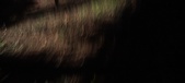 Enlarge photo 175