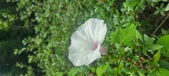 Enlarge photo 204