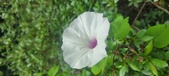 Enlarge photo 203