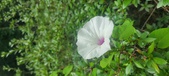 Enlarge photo 199