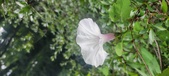 Enlarge photo 200