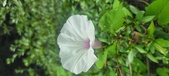 Enlarge photo 202