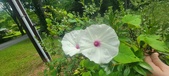 Enlarge photo 188