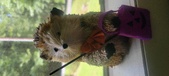 Enlarge photo 227