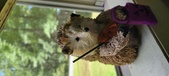Enlarge photo 228