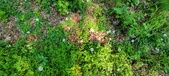 Enlarge photo 220