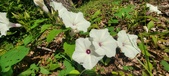 Enlarge photo 213