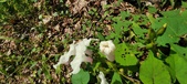 Enlarge photo 211