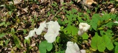 Enlarge photo 210