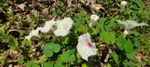 Enlarge photo 209
