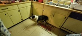 Enlarge photo 27
