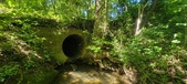 Enlarge photo 55