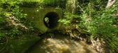 Enlarge photo 58