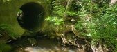 Enlarge photo 54