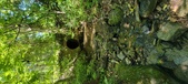 Enlarge photo 53