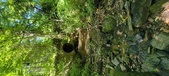 Enlarge photo 52