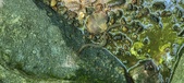 Enlarge photo 50