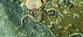 Enlarge photo 49