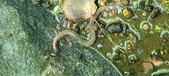 Enlarge photo 48