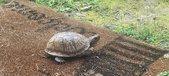 Enlarge photo 45