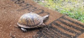 Enlarge photo 42