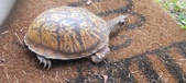 Enlarge photo 36
