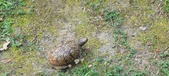 Enlarge photo 35