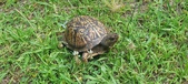 Enlarge photo 29