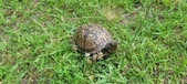 Enlarge photo 28