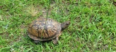 Enlarge photo 27