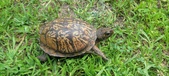 Enlarge photo 22