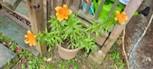 Enlarge photo 175