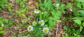 Enlarge photo 174