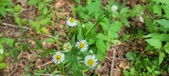 Enlarge photo 173