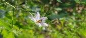 Enlarge photo 171