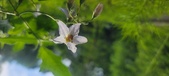 Enlarge photo 167