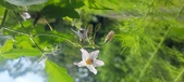 Enlarge photo 169