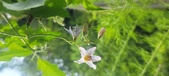 Enlarge photo 170