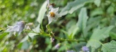 Enlarge photo 166