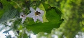 Enlarge photo 164