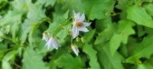Enlarge photo 163