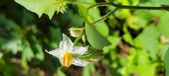 Enlarge photo 13