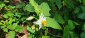 Enlarge photo 17