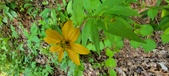 Enlarge photo 25