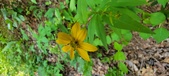 Enlarge photo 24