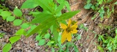 Enlarge photo 26