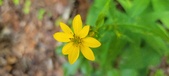 Enlarge photo 31