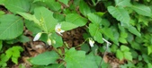 Enlarge photo 33